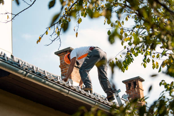 Best Emergency Roof Repair  in Hamilton, MT